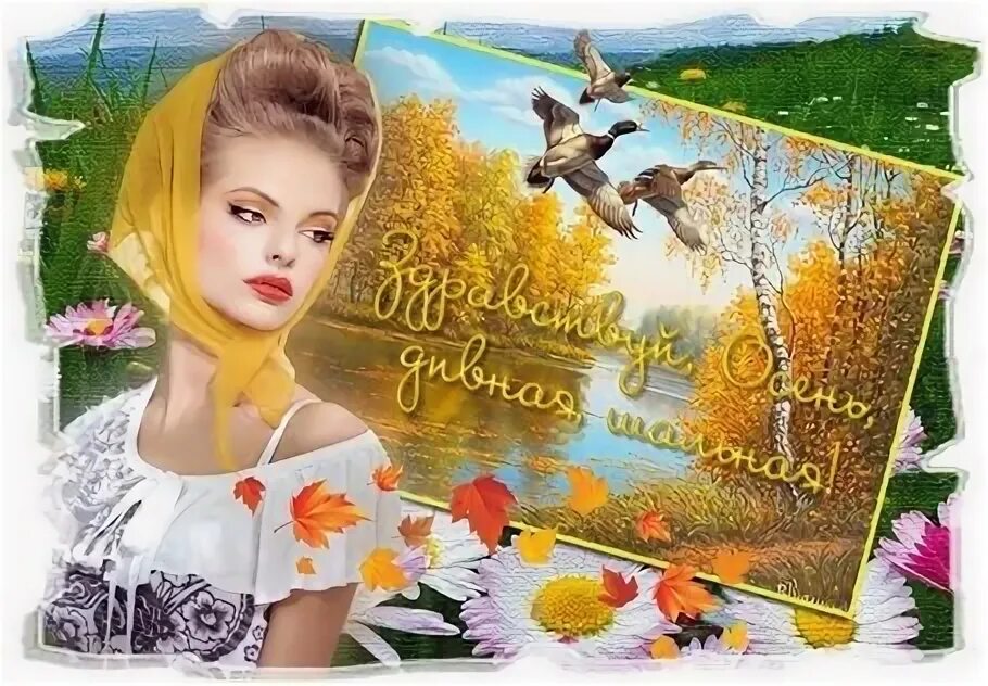 Упаковав очки от солнца шезлонг румяна. Упаковав очки от солнца шезлонг румяна. Упаковав очки от солнца шезлонг румяна. Осенний юмор в картинках. Упаковав очки от солнца шезлонг румяна.