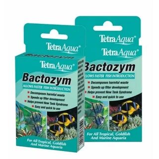 Tetra bacteria