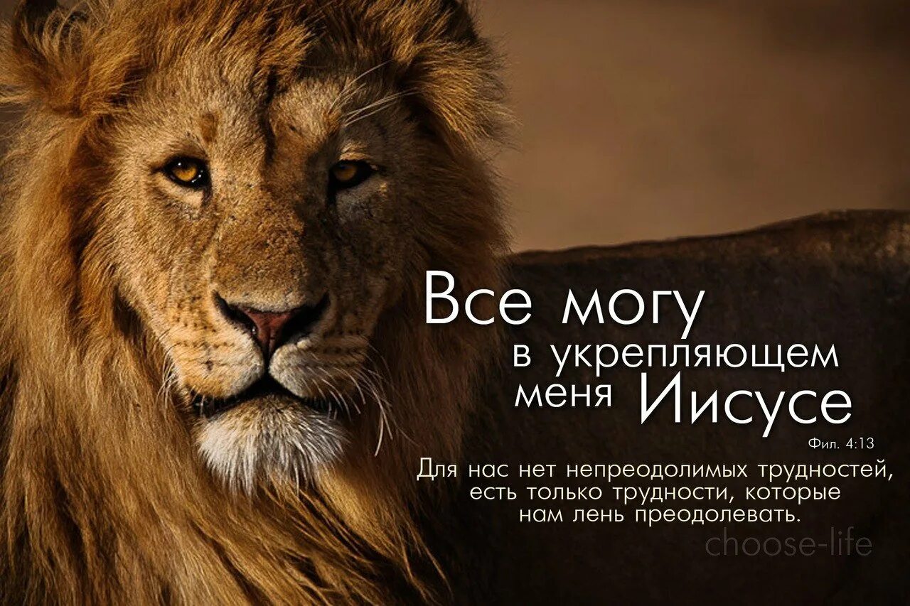 Лев будет твоим