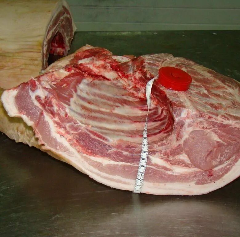 мясо поросенка отзывы