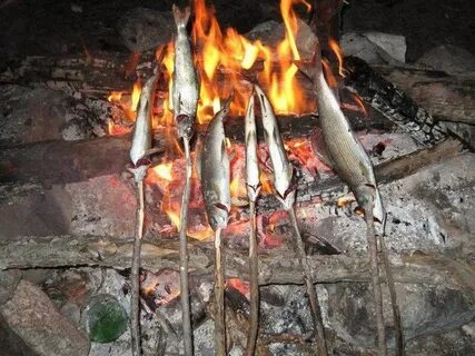 Жареная рыба в замасленной майке глиняными заборами