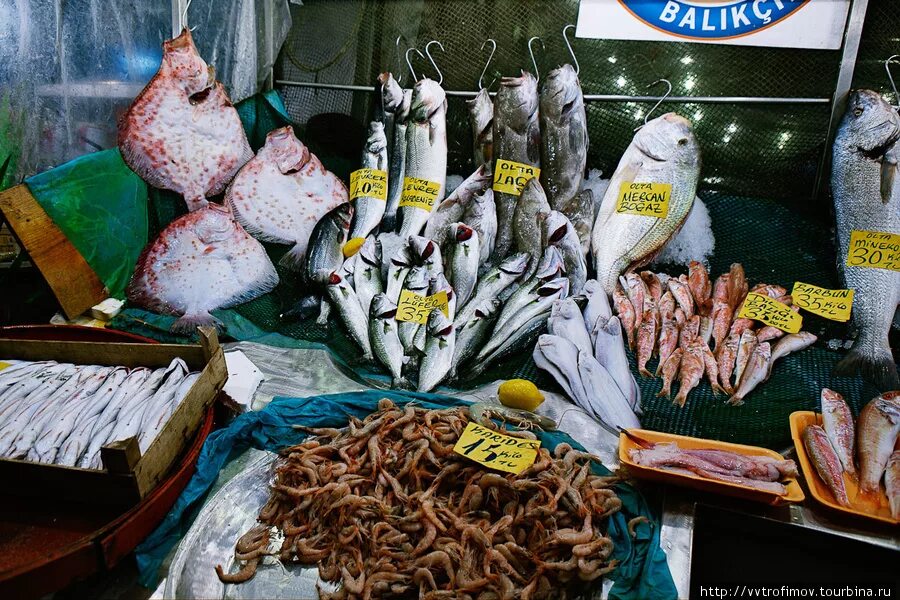 Рыбный рынок москва на волне как добраться. Кемальпаша Турция рыбный рынок. Рынок морепродуктов в Стамбуле. Морепродукты Турции рынок. Рыба в Турции на рынке.