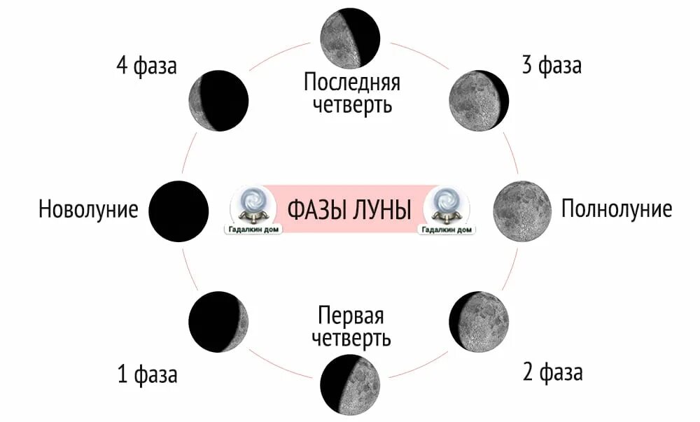 Новолуние и полнолуние. Фазы Луны схема фаз. Фазы Луны в картинках 4 фазы. Что такое фазы Луны нарисуйте схему. Фаза последней четверти Луны рисунок.