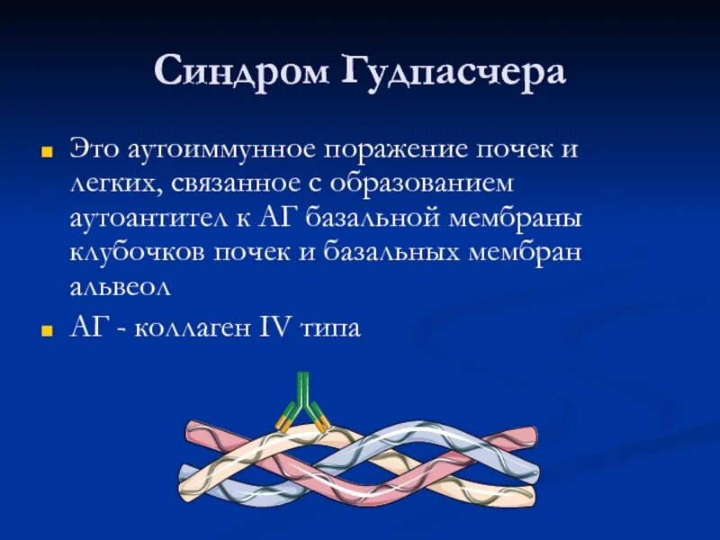 Синдром гудпасчера это. Синдром гудпасчера патогенез. синдром гудпасчера этиология.