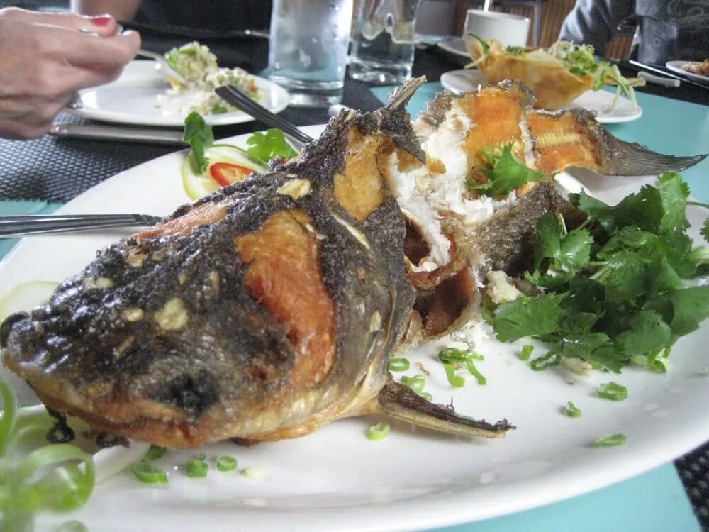 Блюда из сома рецепты