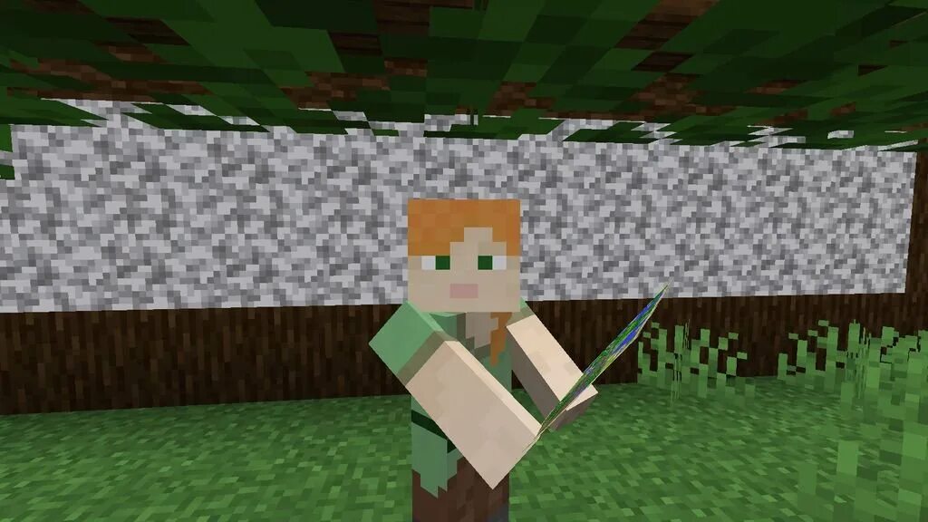 Animation minecraft 1.16 5