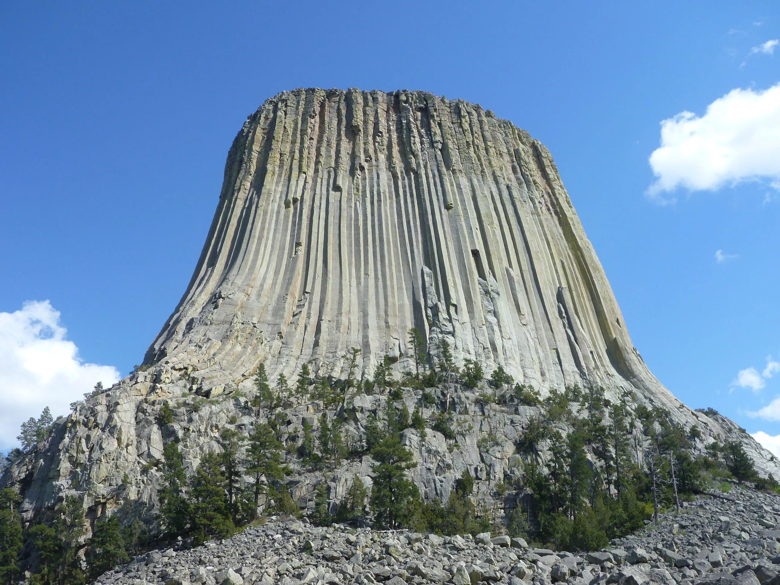 The biggest mountain in the world. Башня дьявола Вайоминг США. Девилс-Тауэр - башня дьявола. Гора дьявола штат Вайоминг США. Девилс-Тауэр Вайоминг дерево.