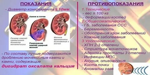 Почки противопоказания