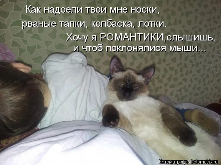 Как не надоесть своему