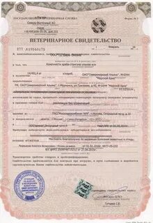 Срок ветеринарного сертификата