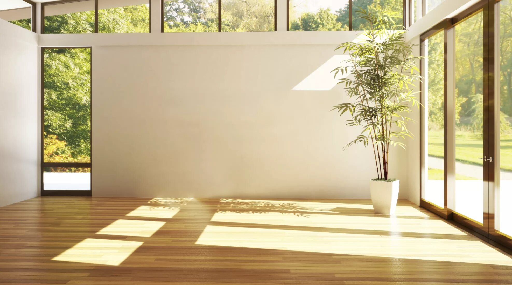 Floor video