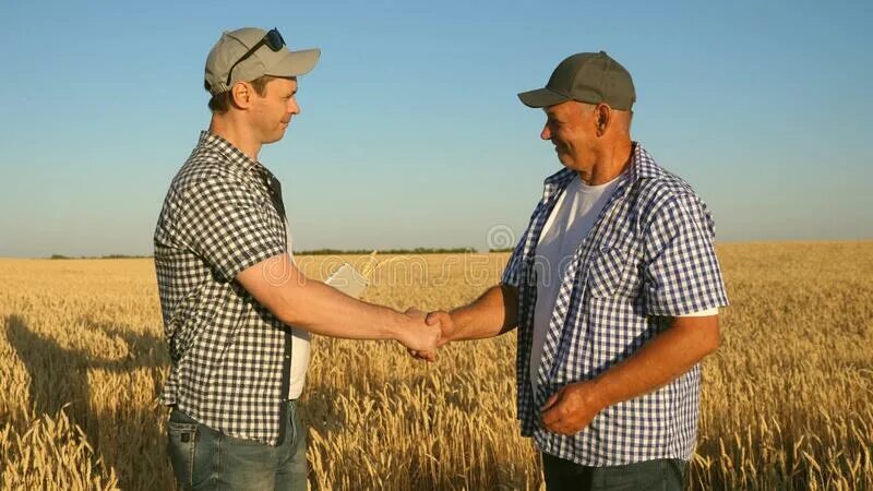 субсидии сельхозпроизводителям. фермер бизнесмен. мужская фотосессия в поле пшеницы. фермер бизнесмен. бизнесмен спиной в пшеничном поле.