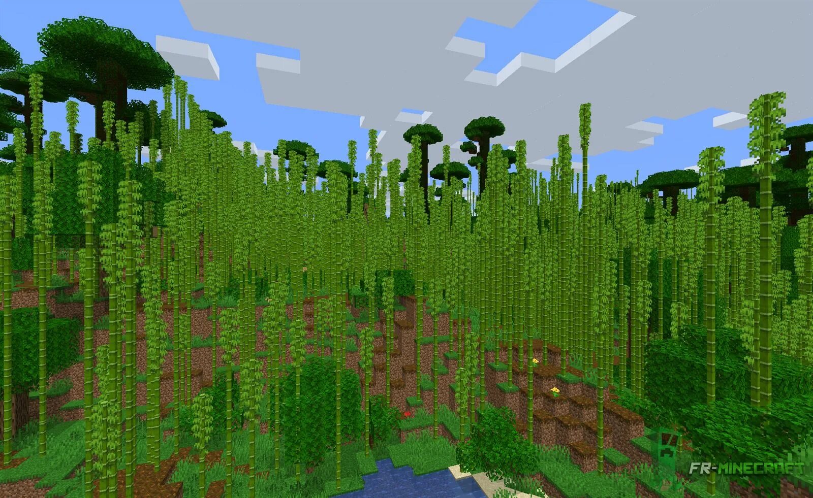 Minecraft jungles. Окраина Биома джунглей. Окраина джунглей в МАЙНКРАФТЕ. Биомы майнкрафт бамбуковые джунгли. Бамбуковый биом в майнкрафт.