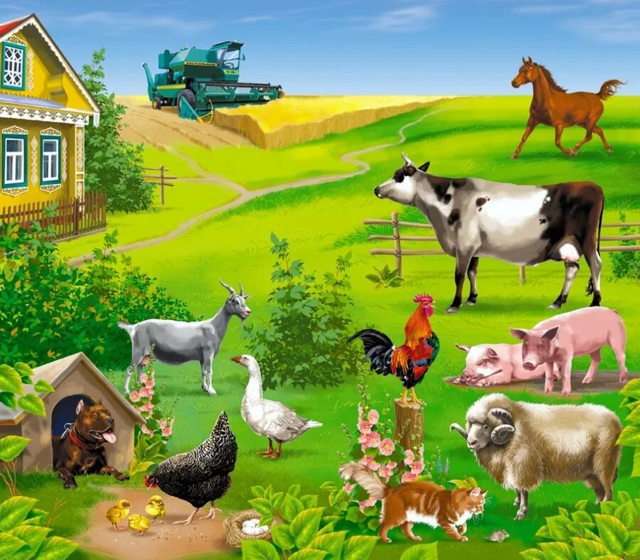 Цветное хозяйство. Животные на ферме. Домашних животных для детей. Домашние животные на ферме. Домашние животные в деревне.