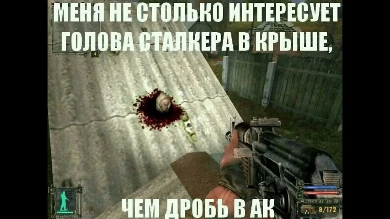 А у сидоровича морда просит