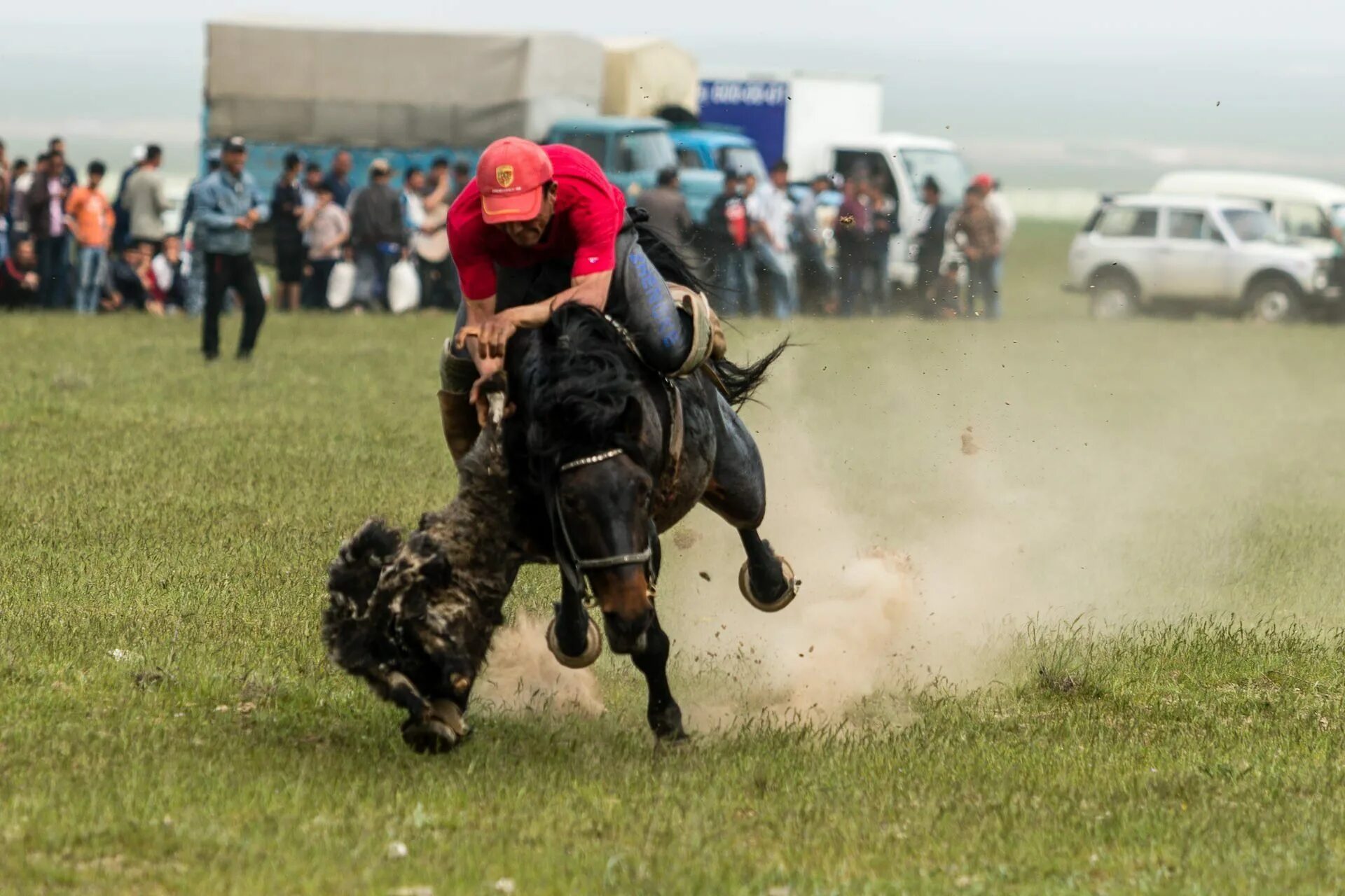 Uloq ko'pkari. Kopkari. Kopkari. Узбек купкари улок. Узбекистан традиции купкари.