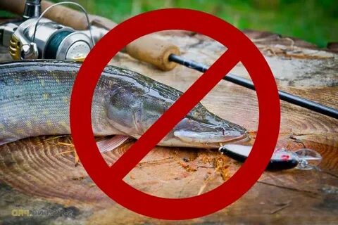 Где можно ловить рыбу во время запрета