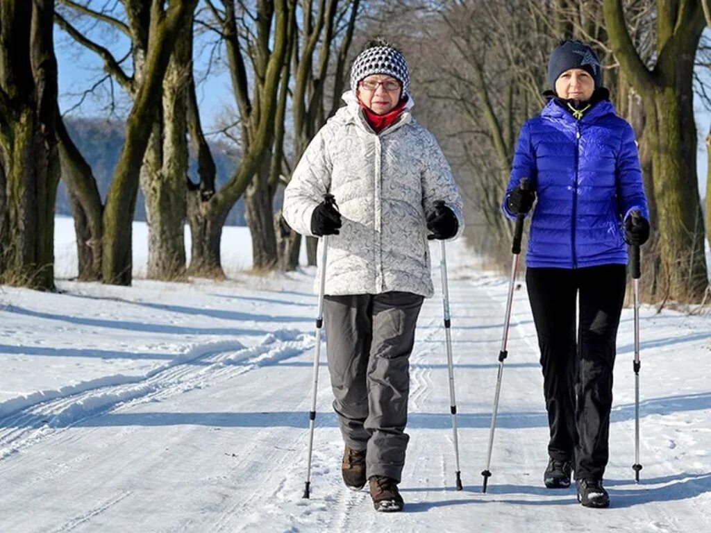 Пожилые люди на лыжах. Пенсионеры на лыжах. Скандинавская ходьба пенсионеры. Ходьба зимой. Пм пенсионера