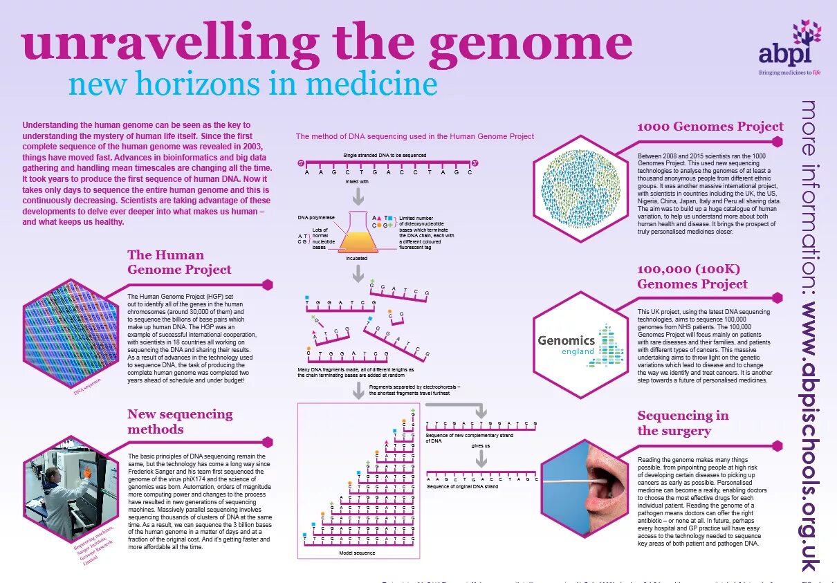 Scientific topic. Проект геном. Human Genome. Проект геном человека. Международная программа геном человека.