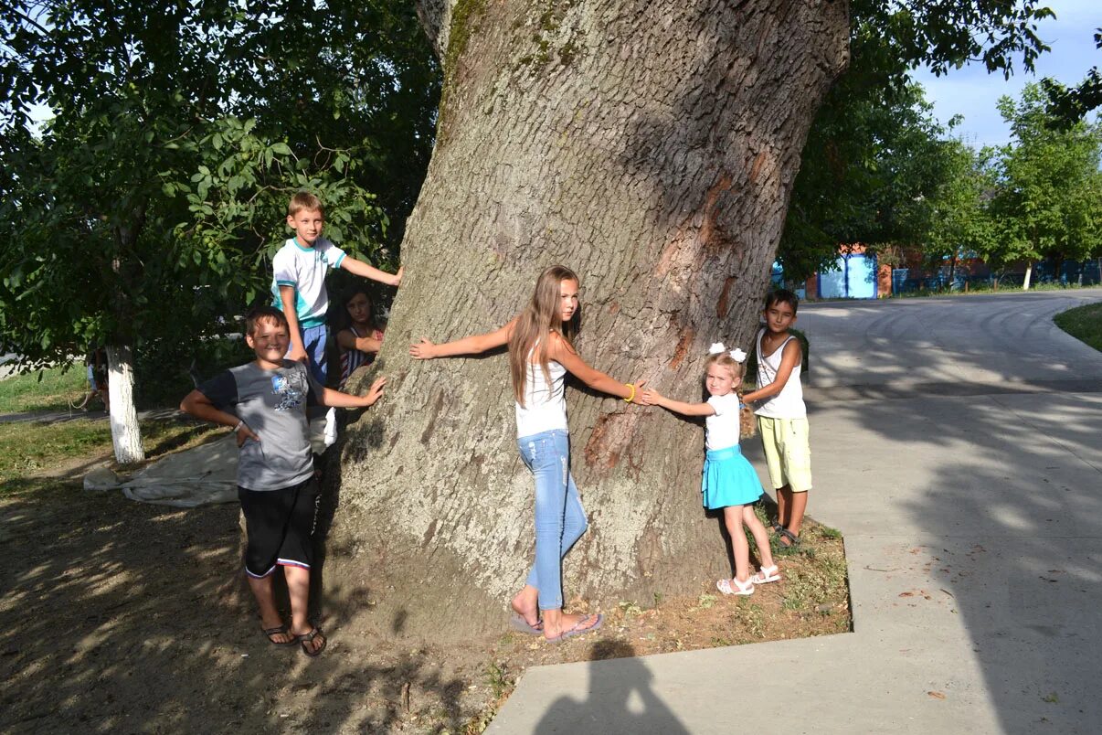 абинска. абинск люди. краснодар бег. абинск лагеря. абинск люди.