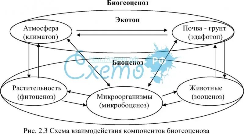 Все элементы погоды взаимосвязаны 6. Схема взаимосвязи элементов климата. Схема взаимосвязи между элементами погоды. Схема взаимосвязи всех элементов погоды. Примеры взаимосвязи элементов погоды.