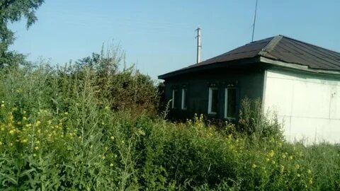 Конево новосибирская область