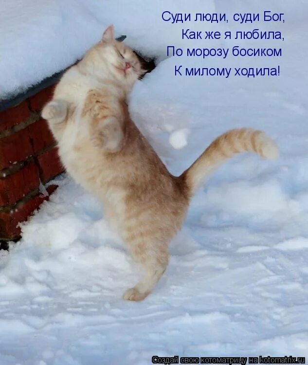 девушка убегает по снегу. босиком на льду озера. песня по морозу босиком к милому ходила. по морозу босиком к милому. по морозу босиком к милому ходила.