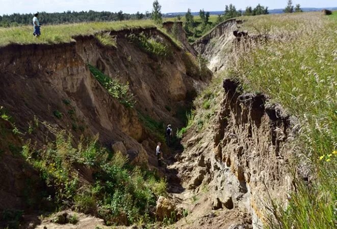 Берег драверта. Берег Драверта Омская область. Горьковский район берег Драверта. Урочище берег Драверта Омская область. Берег Драверта Горьковский район Омская область.