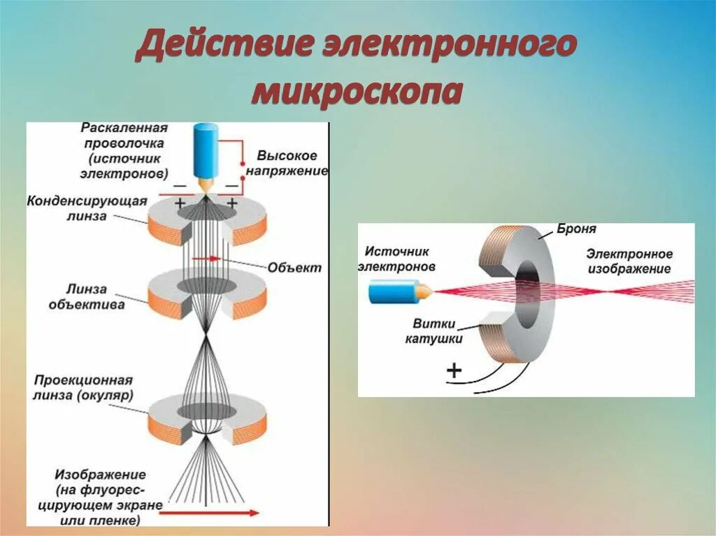 Структура электронного микроскопа. Магнитные линзы электронного микроскопа схема. магнитная линза электронного микроскопа. электронная пушка микроскопа. электронная пушка в электронном микроскопе.
