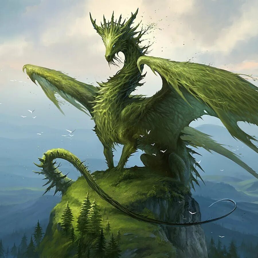 Рисунок зеленого деревянного дракона. Брим зелёный дракон. DND древний зеленый дракон. Лесной дракон ДНД. Дракон арт.