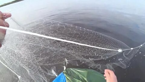 Можно ли ловить сетями