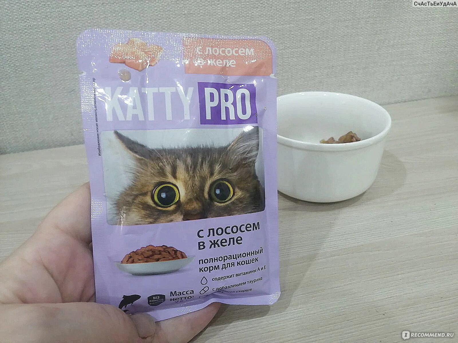 Katty pro отзывы. Katty pro отзывы. Katty корм. Сухие корма для кошек. 85г.