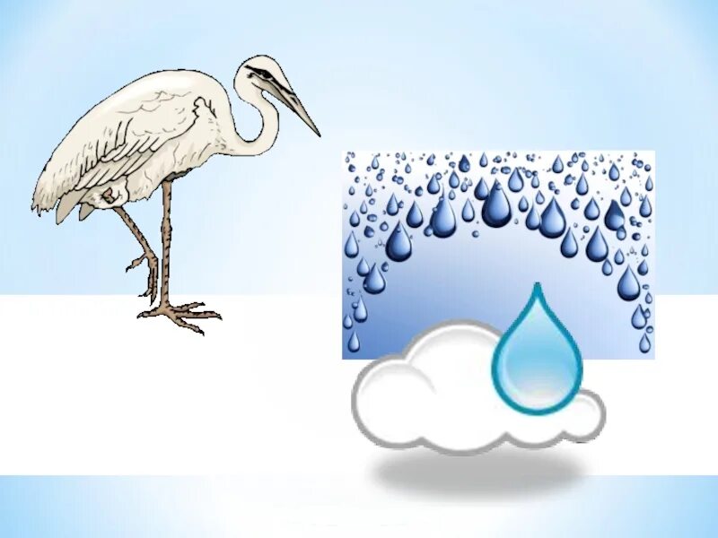 Русский язык 2 класс ударение. Схема слова. Какими звуками различаются капля цапля. Цапля с длинным клювом. Слова отвечающие намврпрос кто.