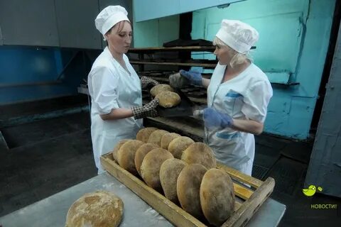 Из каких пекут хлеб