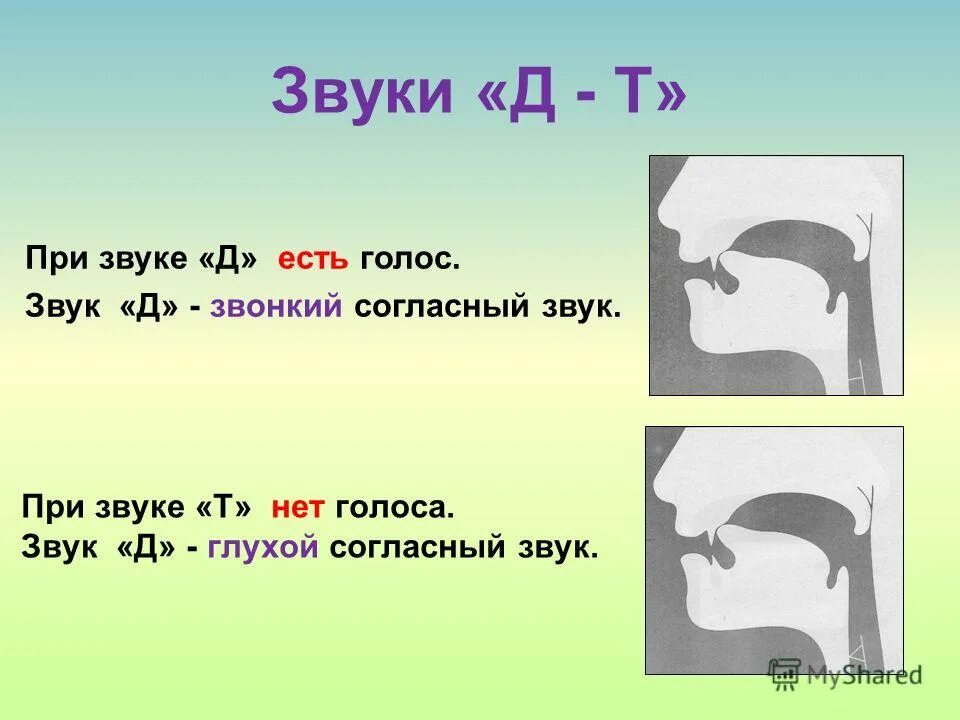 Звонкий d. Звук д. Согласный звук д. Профиль звука т. Характеристика звука д.