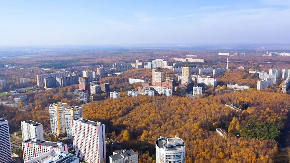 Кунцевская отзывы. Район Кунцево. Кунцево (район Москвы). Кунцево Москва. Московский парк Кунцево.