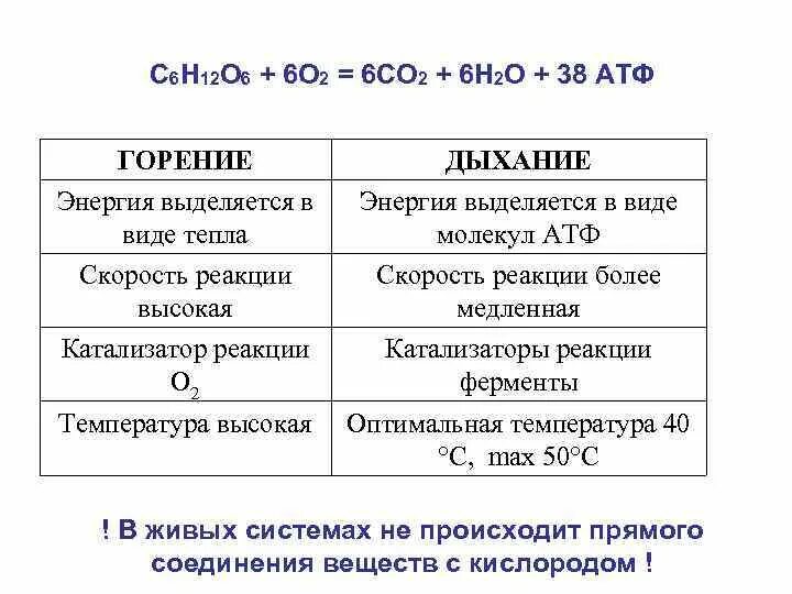 Сопоставление процессов дыхания и горения. Отличие процессов дыхания от горения. Сходства процессов дыхания и горения. Различия в процессах дыхания и горения.