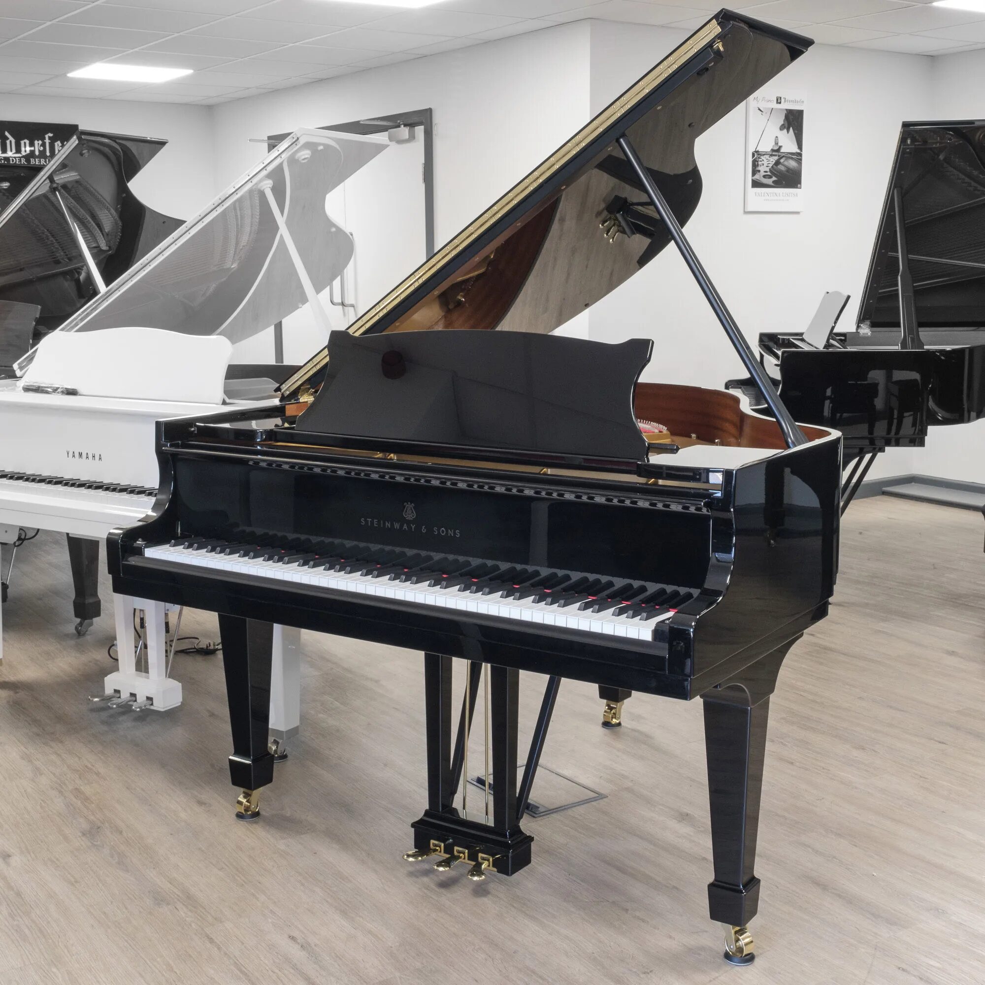 Clash royale фон. Nulls royale карты. Рояль бм17. Крэш рояль. Нулсс рояль.