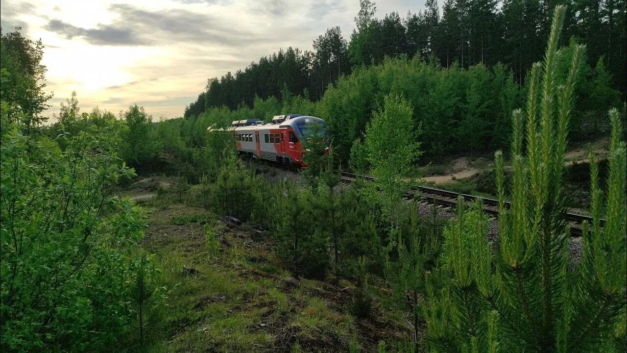 Поезд Лодейное поле Сортавала. Орлан Лодейное поле Сортавала. Поезд Орлан Сортавала. Рельсовый автобус Лодейное поле Сортавала.