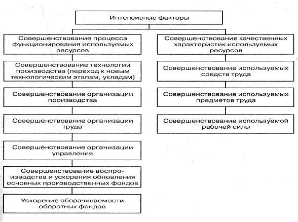 Факторы экономического развития предприятия. Экстенсивные и интенсивные факторы развития предприятия. Интенсивные факторы развития производства. Факторы роста эффективности производства. Экстенсивные факторы развития производства.