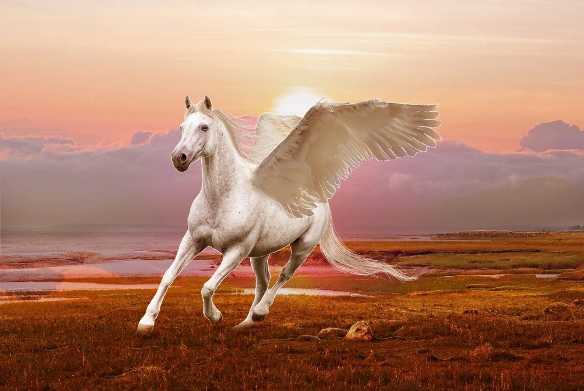Какой из коней был крылатым. Крылатый конь Пегас. Летающая лошадь. Белая лошадь с крыльями. Конь с крыльями.