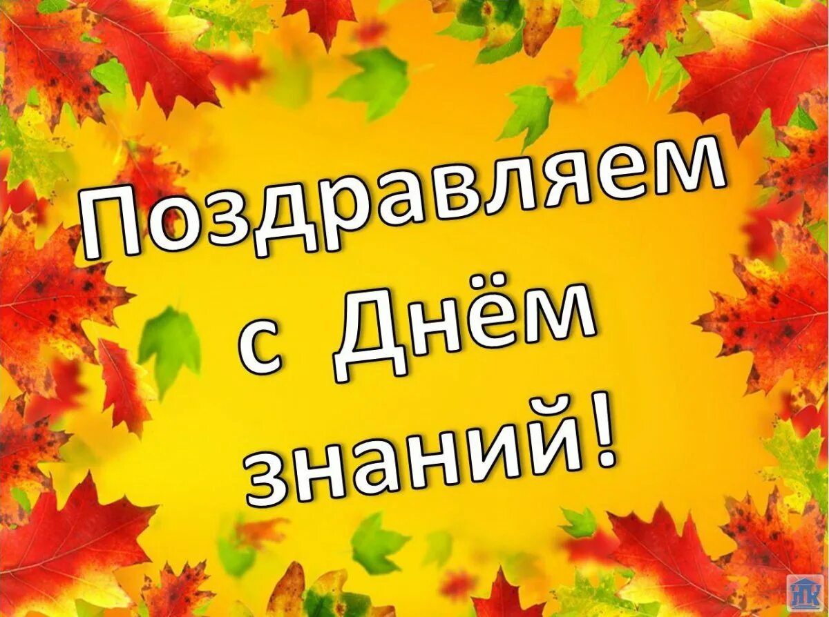 Поздравляю учебного года. Сначаломучебноггогода. С ночалом учебного Ода. С началом учебебного года. Поздравляю с началом учебного года.