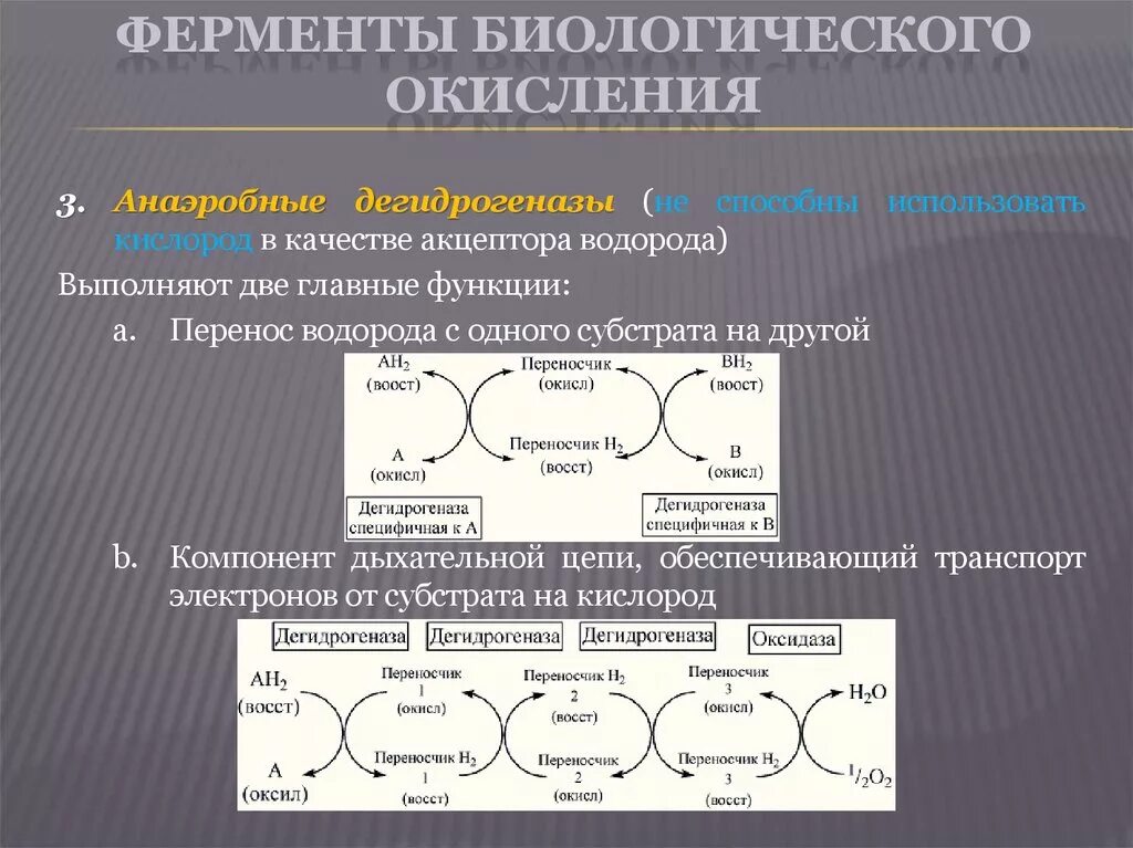 Окисление водорода кислородом реакция. Ферменты и коферменты биологического окисления. Ферменты биологического окисления. Ферменты аэробного окисления. Окисление ферментов.