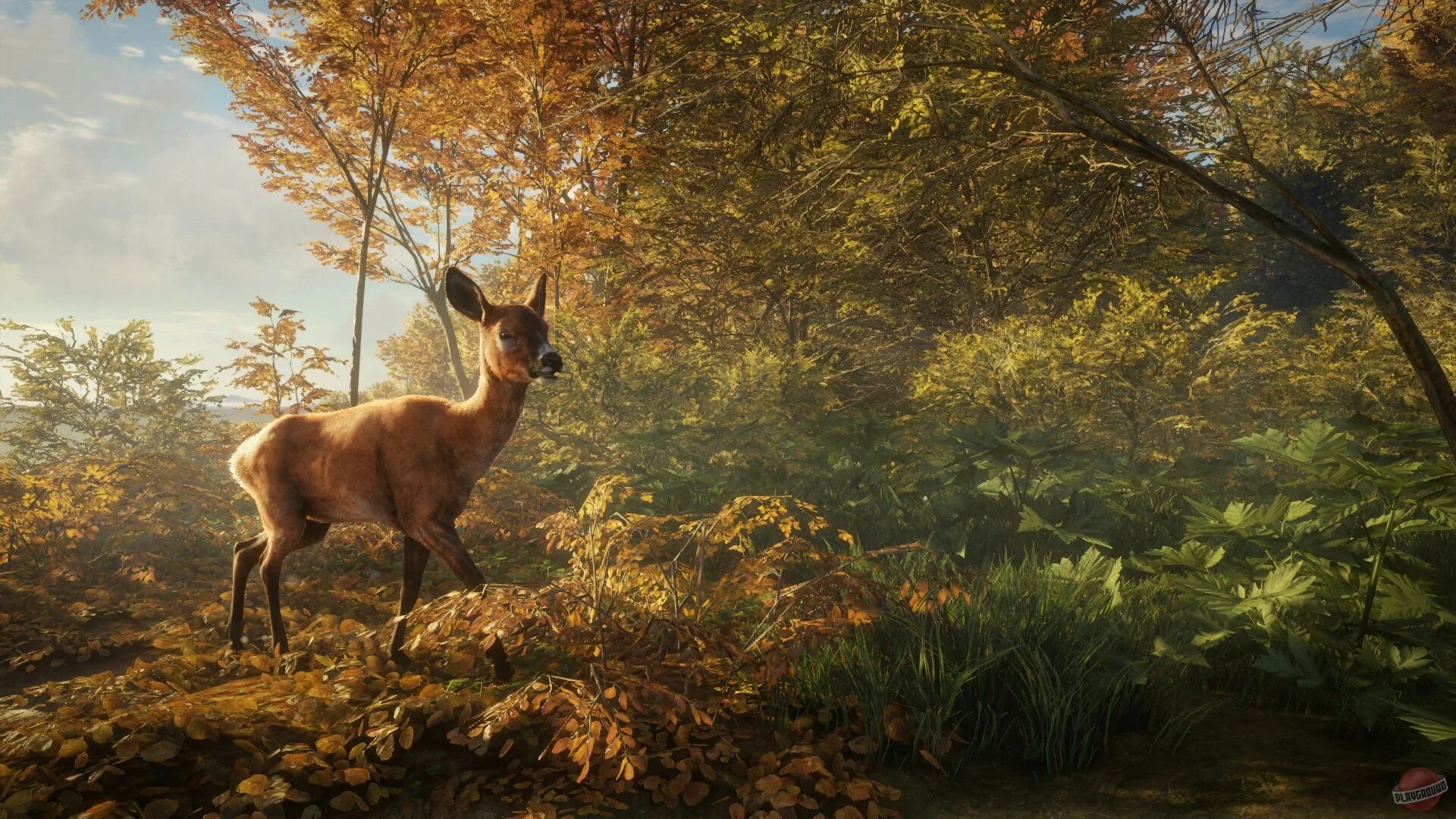 THEHUNTER: Call of the Wild. Игра охота the Hunter Call of the Wild. The Hunter Call of the Wild последняя версия. The Hunter Call of the Wild фото.