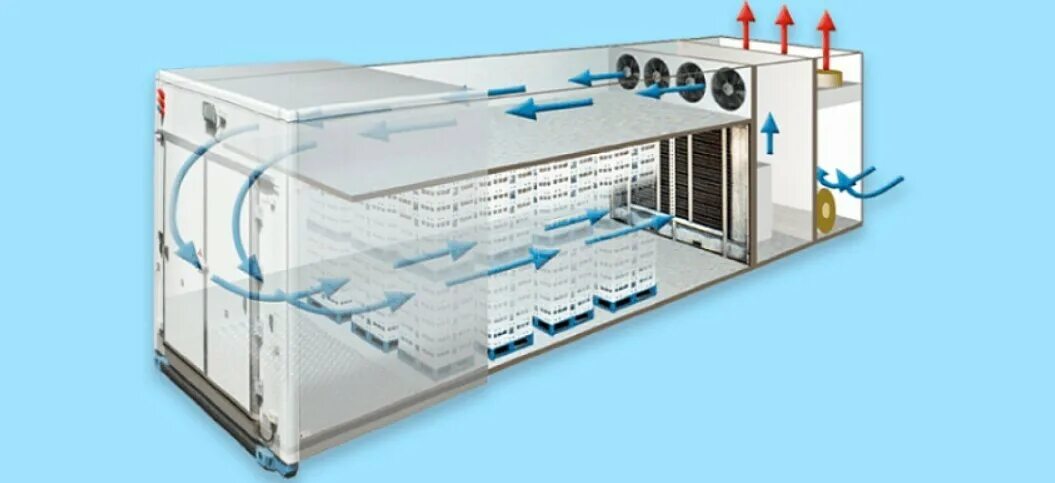 Камера шоковой заморозки туннельного типа_6 Aircool. Технология шоковой заморозки ягод. Холодильная камера шоковой заморозки. Холодильная камера ки-23prs.