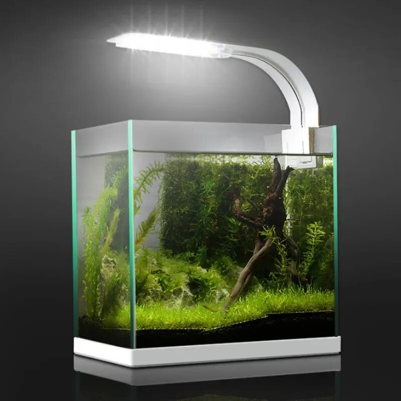 Led plant lights. Led лампа для аквариума 24 Вт. Лампа Aquarium Light. Лампа лампа люминесцентная Dennerle Nano Marinus Reef Light (den5690). Лед светильник для аквариума SD-4w.