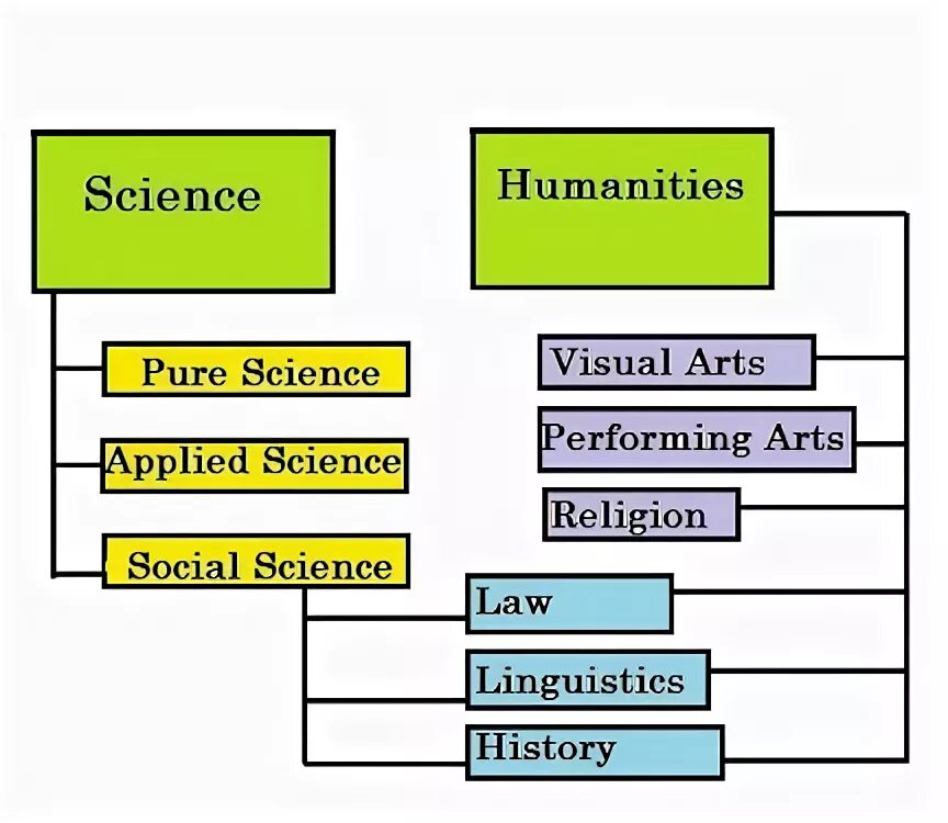 Social science примеры. Natural sciences and humanities. Humanities. Social pedagogy. Similarities and differences.