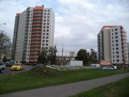 Зеленый берег