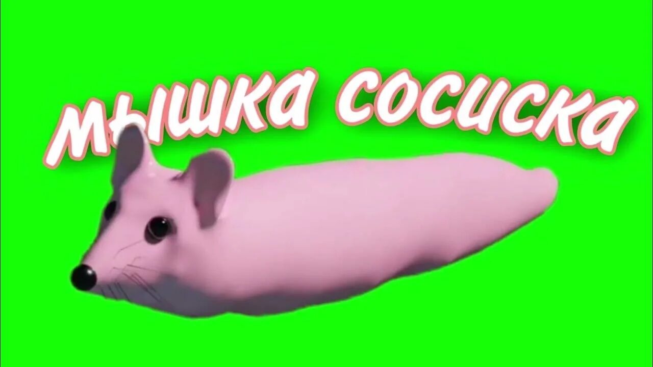 Включи кошка жвачка. Мышка сосиска. Мыша сосиска. Туц тутуц мышка сосиска. Мышка сосиска оригинал.