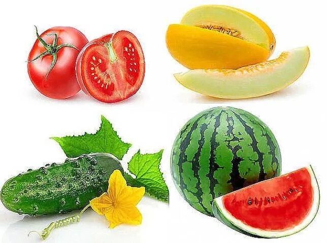 Тест арбуз или дыня огурец или помидор психологический. Дыня и помидор. Тест огурец помидор арбуз дыня. Дыня арбуз огурец помидор. Арбуз или дыня психологический тест.